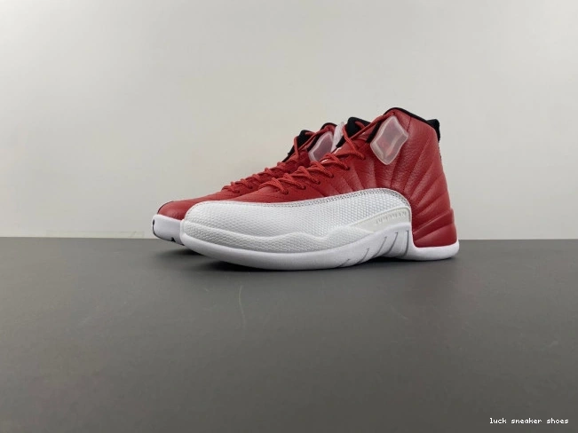 Rep LUCY Alternate 130690-600 12 Jordan Air 0814